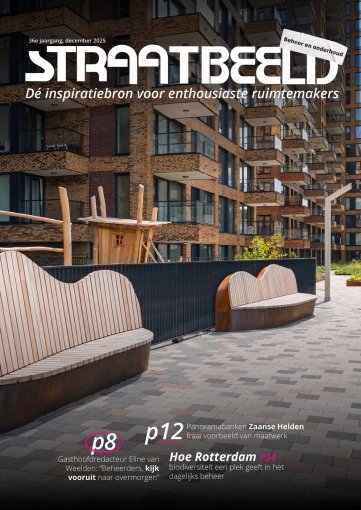  - Straatbeeld #6 2025