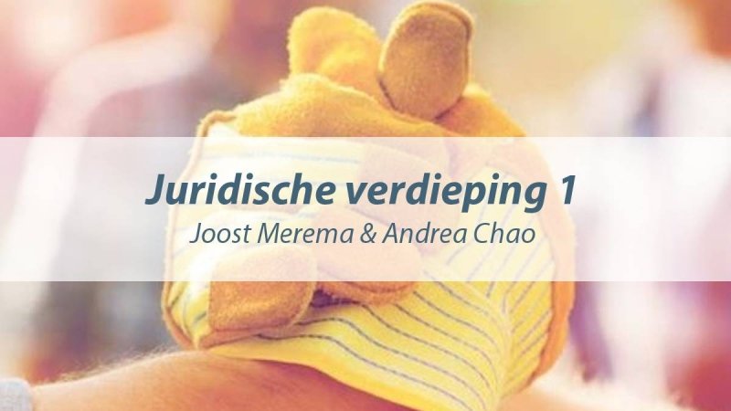 2. Juridische verdieping 1