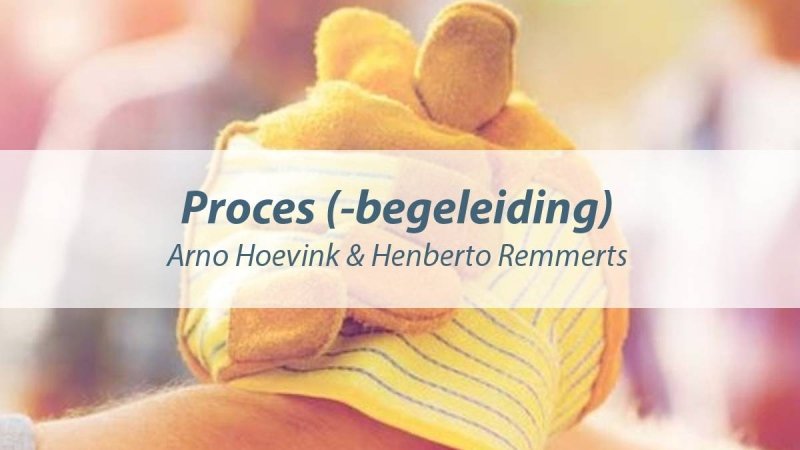 4. Proces (-begeleiding)