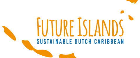 Logo Future Islands