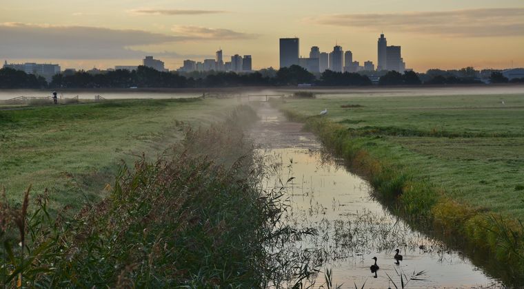 Excursie Rotterdam de Boer op tijdens Klimaattop GO 2024