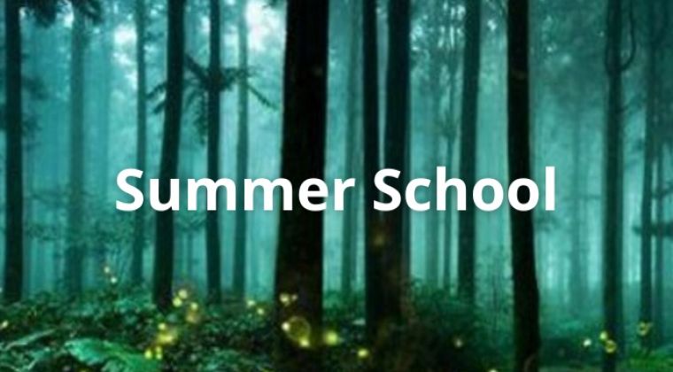 Live Summerschool and Finale