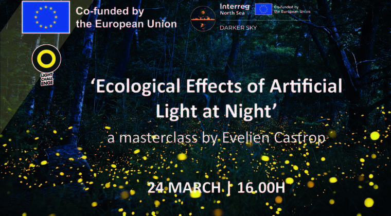 Online Masterclass + Q&A (2)