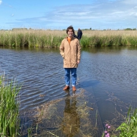 Meike Westers