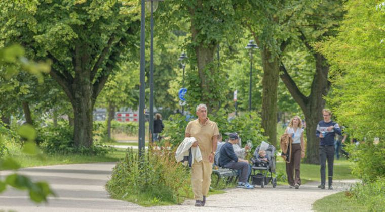 Tijd vliegt als je loopt: hoe de omgeving onze tijdsbeleving tijdens wandelen beïnvloedt