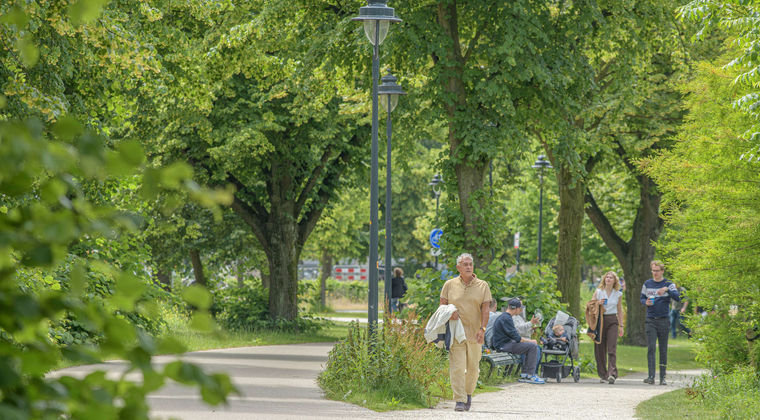 Tijd vliegt als je loopt: hoe de omgeving onze tijdsbeleving tijdens wandelen beïnvloedt