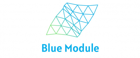 Logo Blue Module