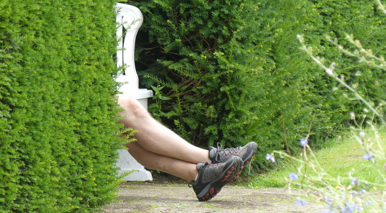 <span>Het maximale effect van natuur in de werkomgeving</span>