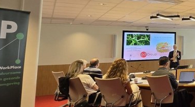 Impact van de gezonde werkomgeving op ons brein