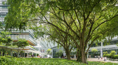 Interface: bedrijven moeten de WELL Building-standaard omarmen