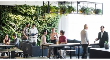 Workshop 'Kantoor als verbinder'