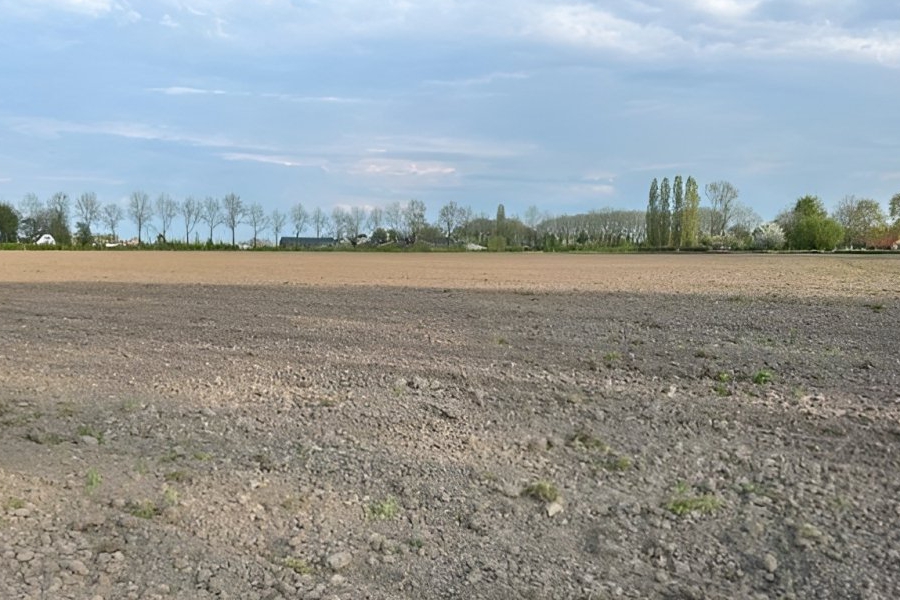 <span>Eerste percelen ingezaaid in </span>Regio Stedendriehoek<span>! </span>
