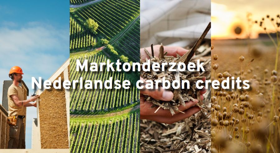 Bewustwording en beleidsinterventies nodig voor groei carbon credits