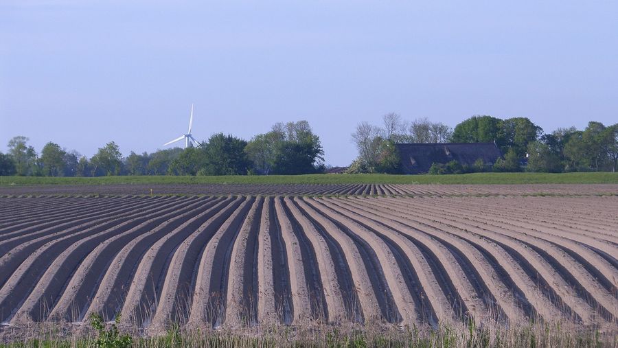 ‘Biobased bouwen kan vandaag al’