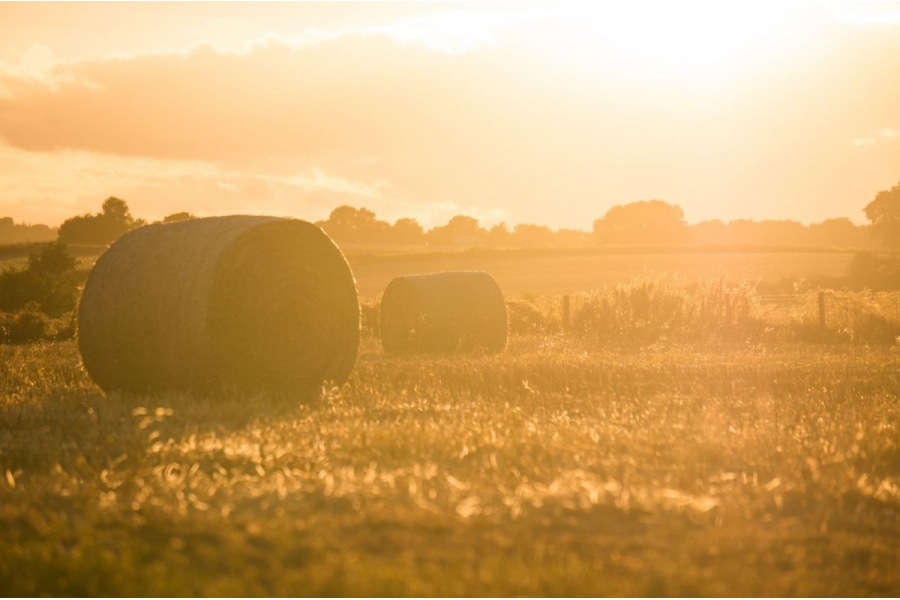 Boer kan telen voor de bouwsector
