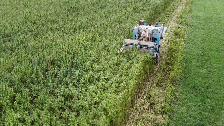 Gelderland zoekt agrariërs en fabrikanten biobased bouwmaterialen