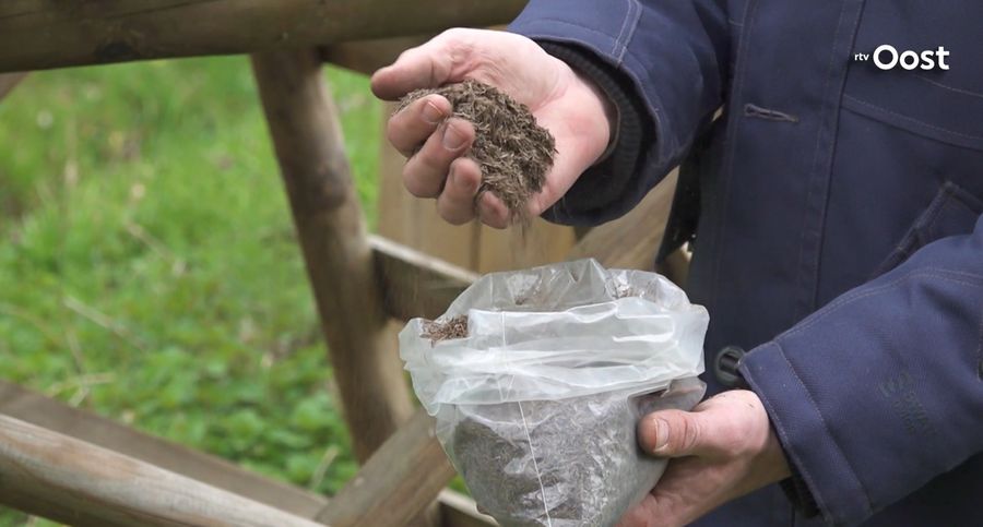 Kijktip: Huizen maken van Overijssels gewas