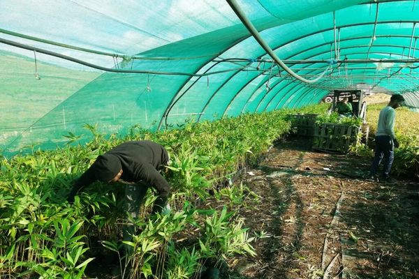 26 juni: Carbon Removal Markt- en Beleidsdag