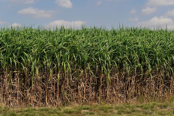 Agenda Natuurinclusief 2.0 gaat uitvoering versnellen
