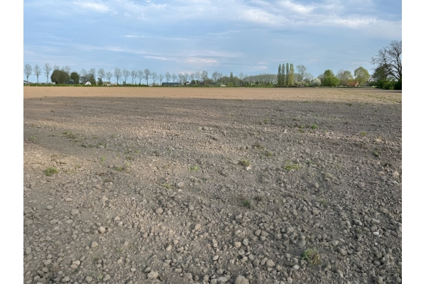 <span>Eerste percelen ingezaaid in </span>Regio Stedendriehoek<span>! </span>