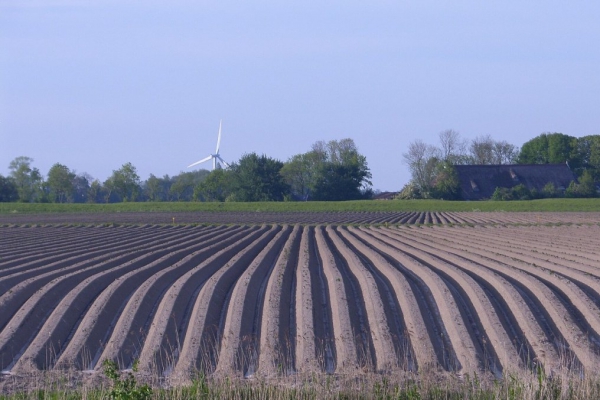 ‘Biobased bouwen kan vandaag al’
