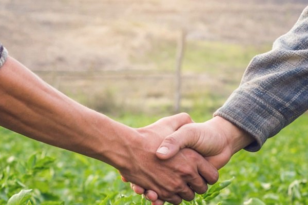 Woningcorporaties: biobased en natuurinclusief renoveren