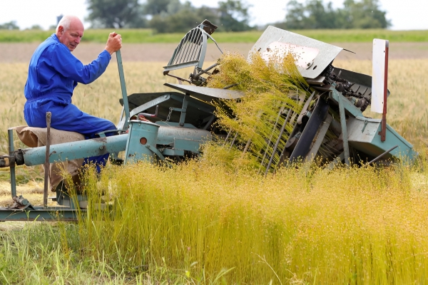 Biobased telen voor de bouw: informatiebijeenkomst op 9 mei