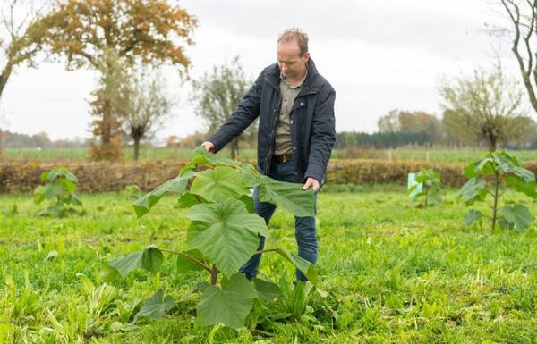 Boer maakt cirkel rond met duurzame houtteelt