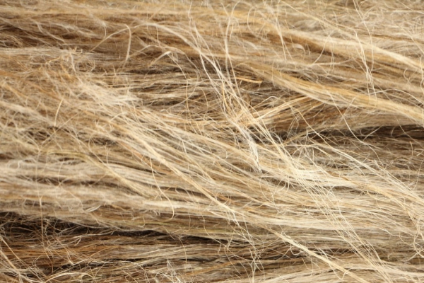 Kansen en noodzaak om biobased bouwen te versnellen