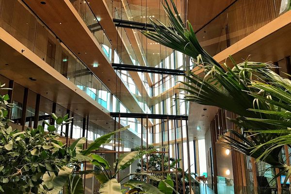 Vernieuwbare materialen en hun waardecreatie