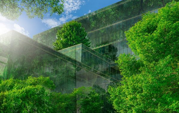 Praktische handreikingen voor verbetering biodiversiteit