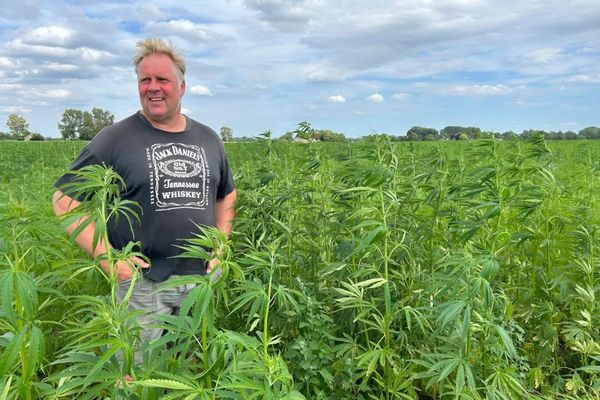 Hoe Peter overstapte van koeien naar hennep