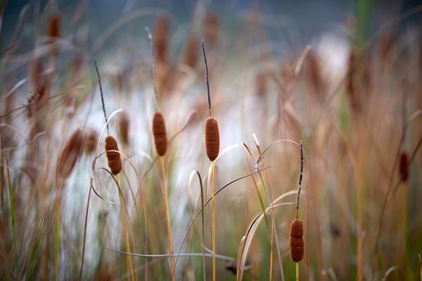 In sneltreinvaart naar gecertificeerd brandveilig biobased bouwen