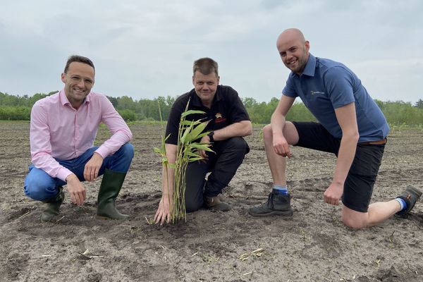 <span>Webinar 19 februari: Klimaatpositief ondernemen!</span>