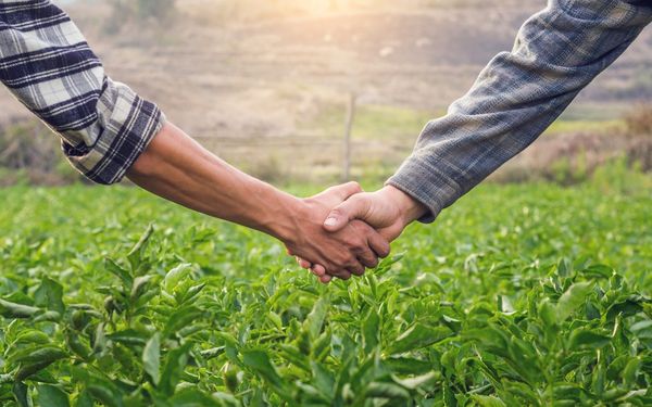 Versnelling in de route ‘Van plant tot pand’