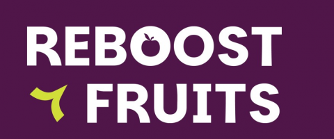 Rebootsfruit