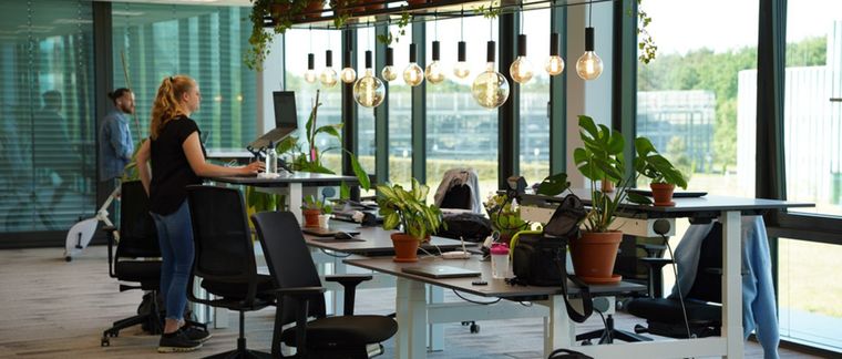 <span>Unleash workplace vitality!</span>